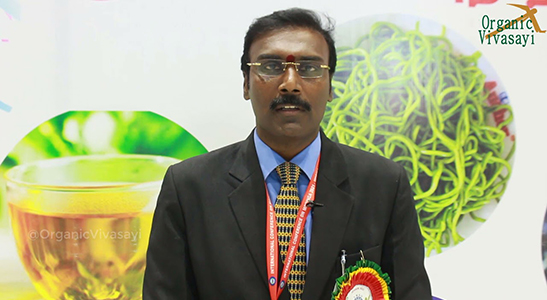 video images